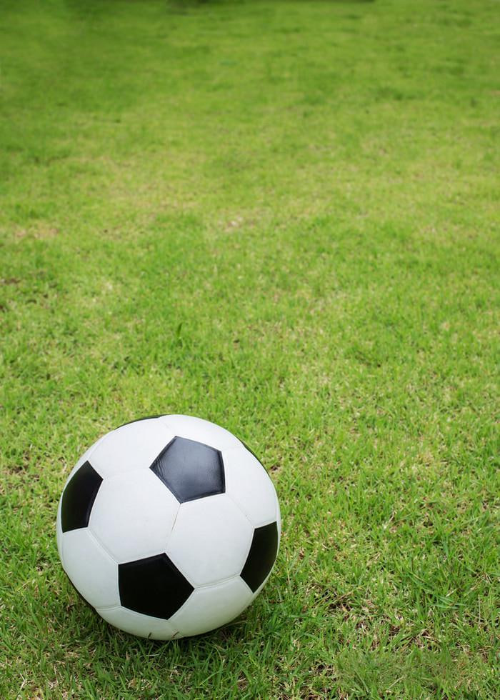 多平台14场胜负彩查询应用展示